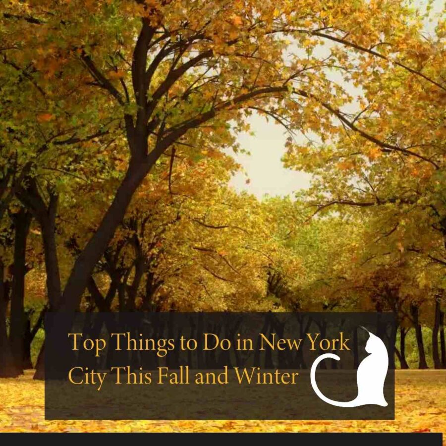 Things to do in New York City fall season: autumn drinks and small plates at Ayza Wine & Chocolate Bar in Midtown Manhattan