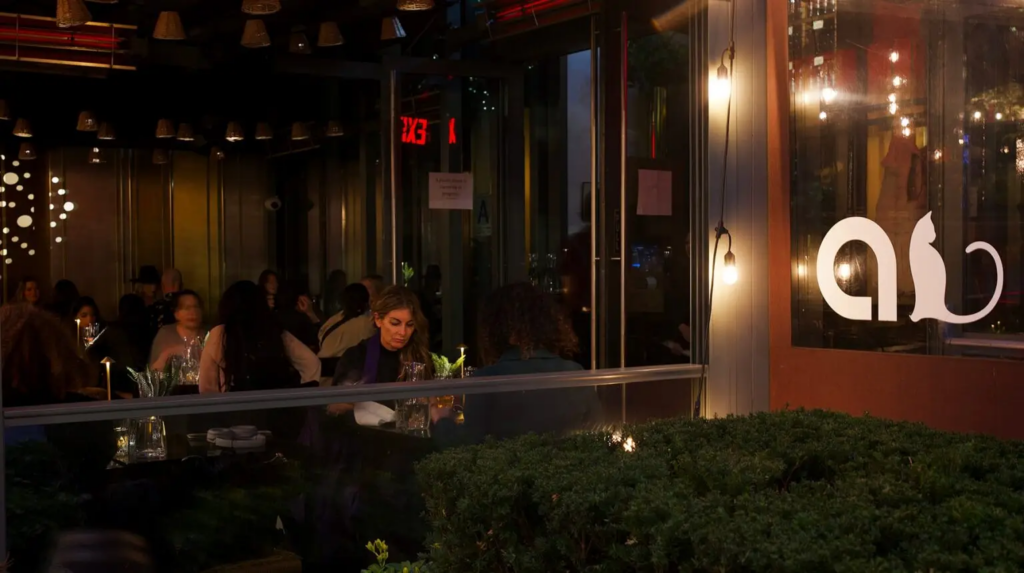 Ayza Wine Chocolate Bar - Wine Bar